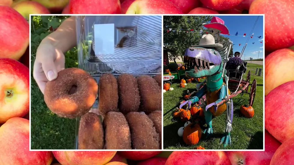 Dubuque Tradition: Delicious Apple Cider Donuts Return to the Tri-States!