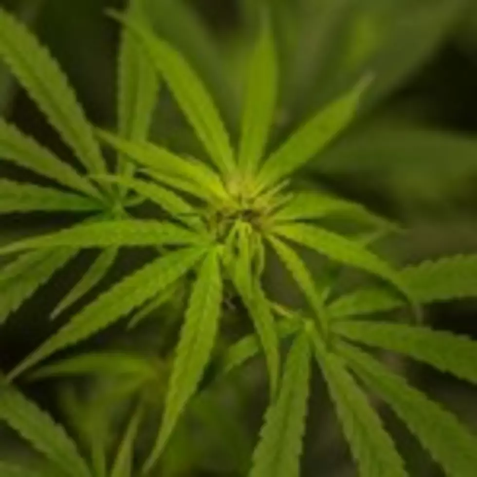Punishment For Marijuana May Be Getting Reduced