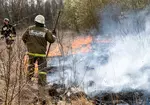 Controlled Burn at West 32nd St Detention Basin April 24th