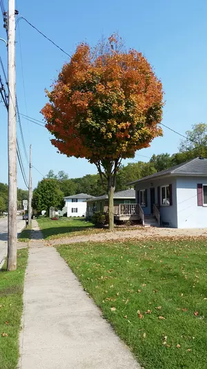 Is it fall color time already?