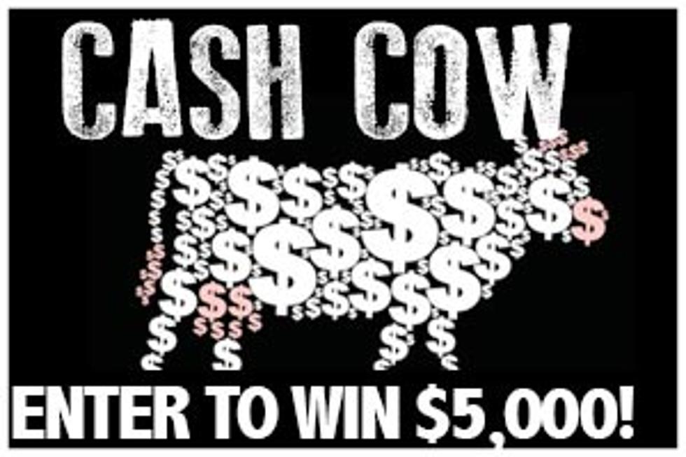 Win Up to $5K With Cash Cow