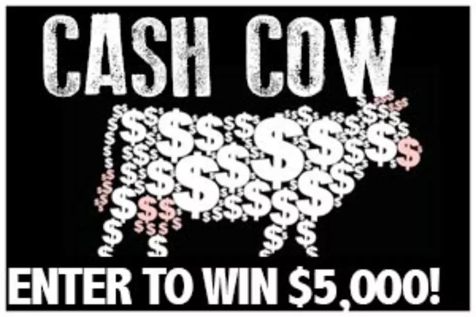 Win Up to $5,000 With Cash Cow Every Weekday
