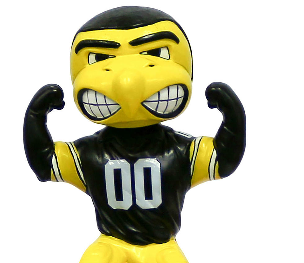 Herky the Hawk Bobblehead Now Available