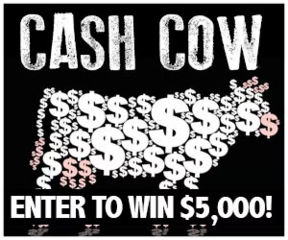 Cash Cow, Your Chance to Become Up To $5,000 Richer is Almost Here