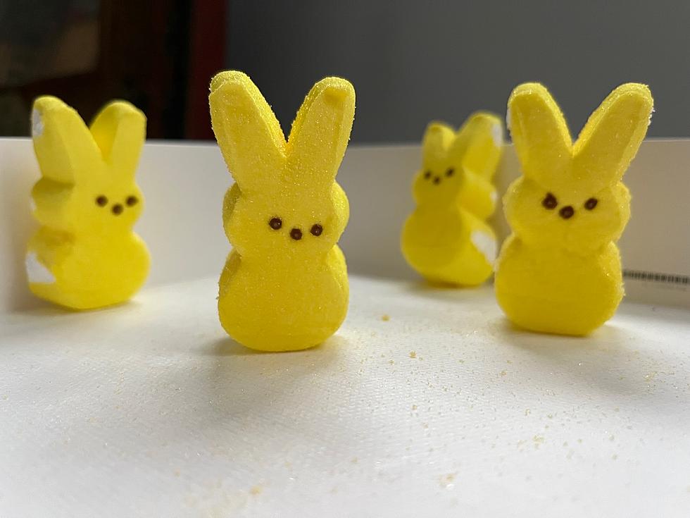 The Ultimate PEEPS Taste Test