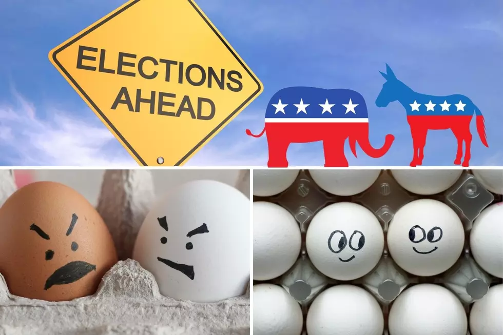 Dubuque Area Chamber to Host Eggciting Political Breakfasts