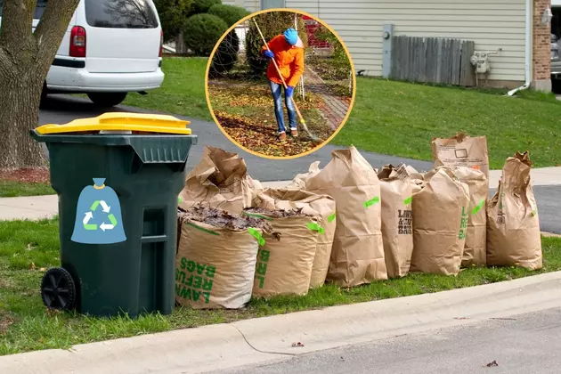 City of DBQ Guidelines on How to Handle Your Yard Waste This Fall