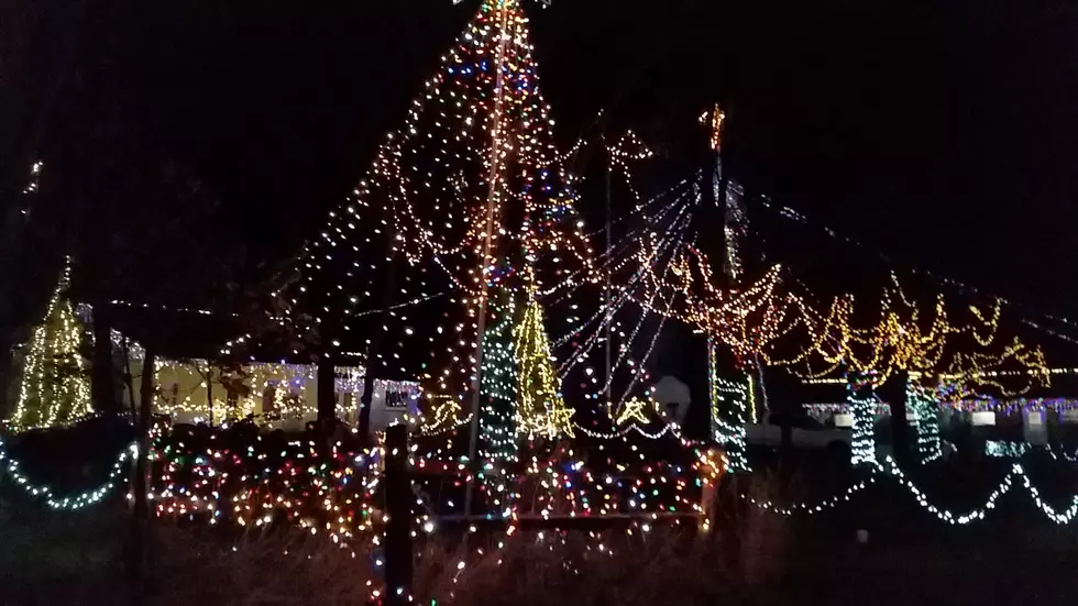 Forcelle Dairy Farm Christmas Light Spectacular