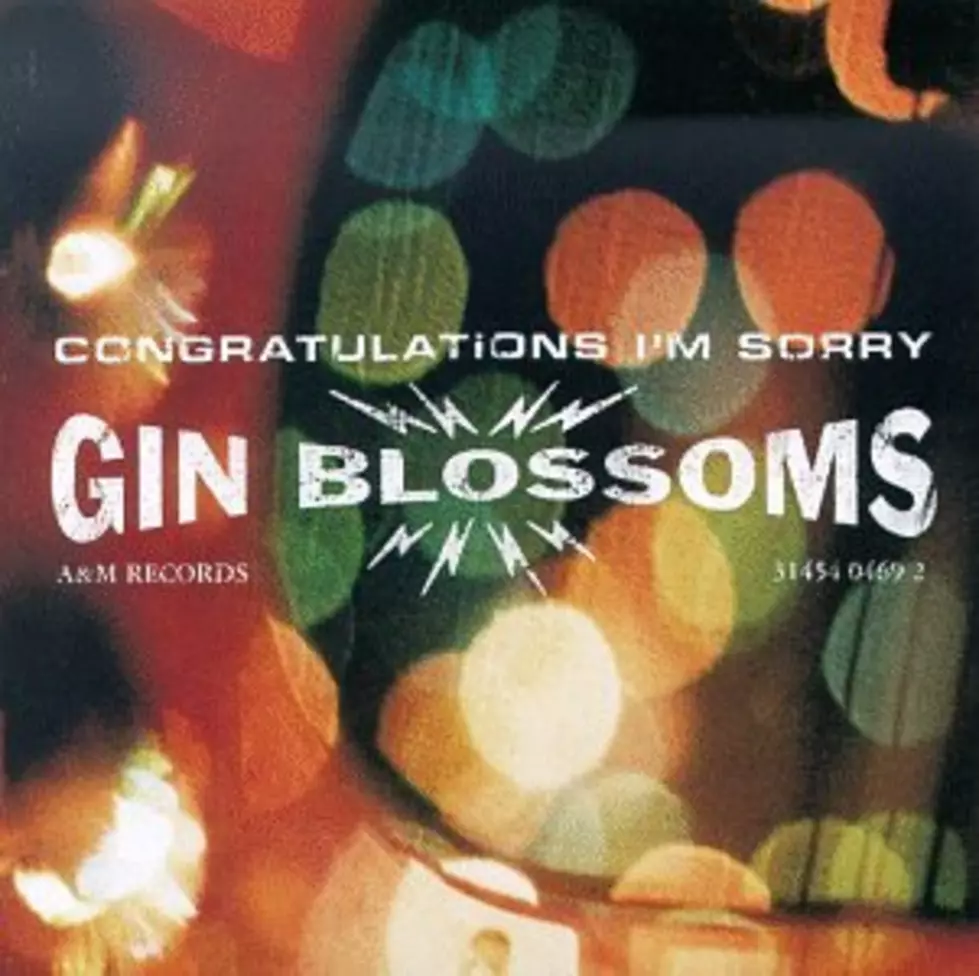Cool One: Gin Blossoms