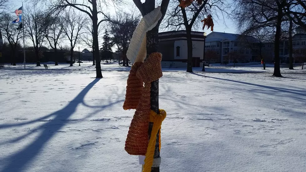 What’s Up With The Scarves in Faribault’s Central Park?