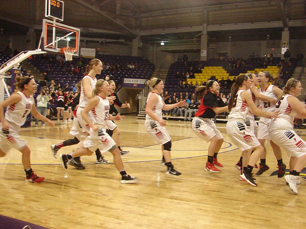 Panther Girls Roar Back to Earn Trip to State Basketball Tournament