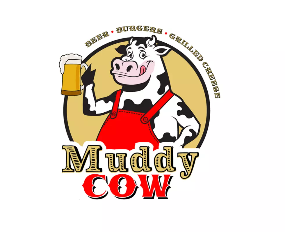 Muddy Cow Comes to Faribault