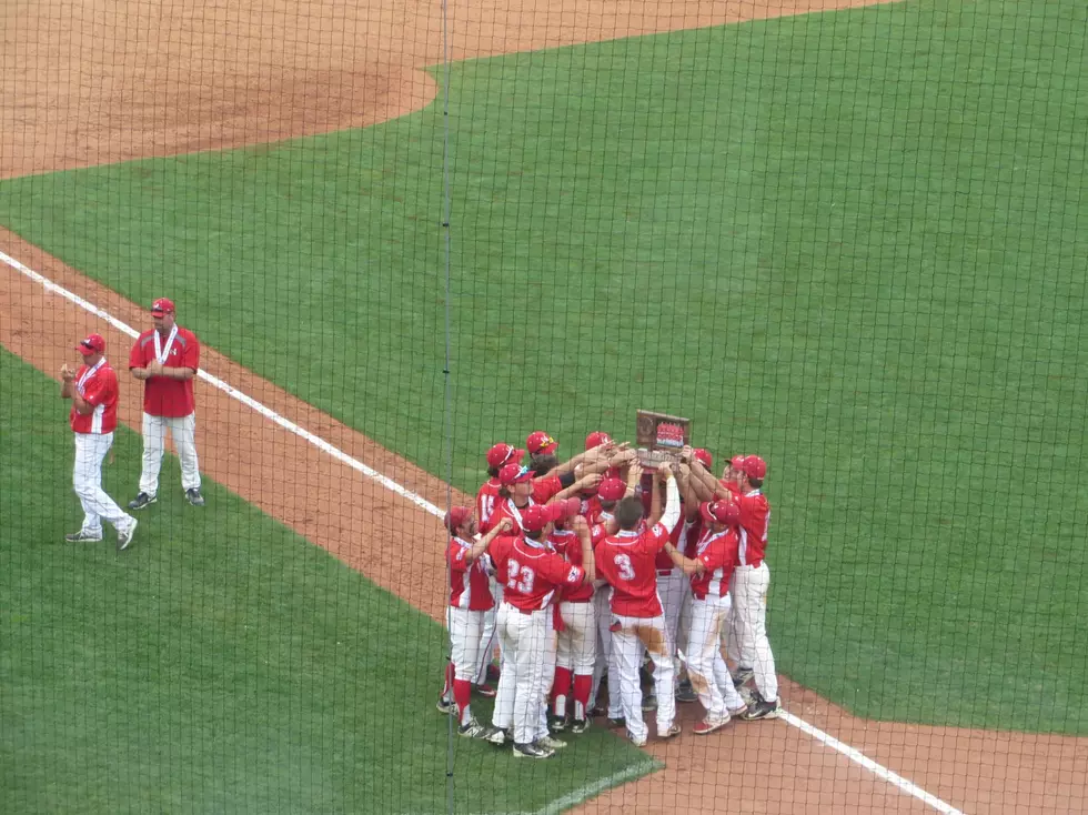 Lakeville North Wins Third Place Game at State