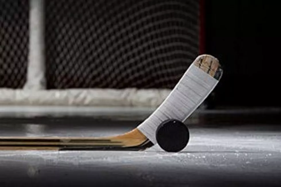 Minnesota Youth Hockey Coach Dies from On-Ice Injury