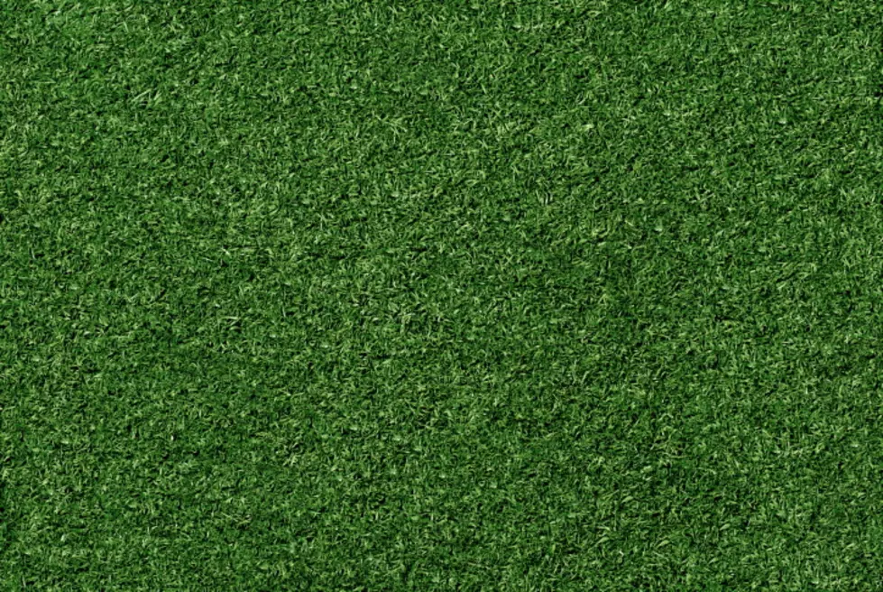 Minnesota Man’s Lawn is ALWAYS Greener &#8211; Because it’s Turf!
