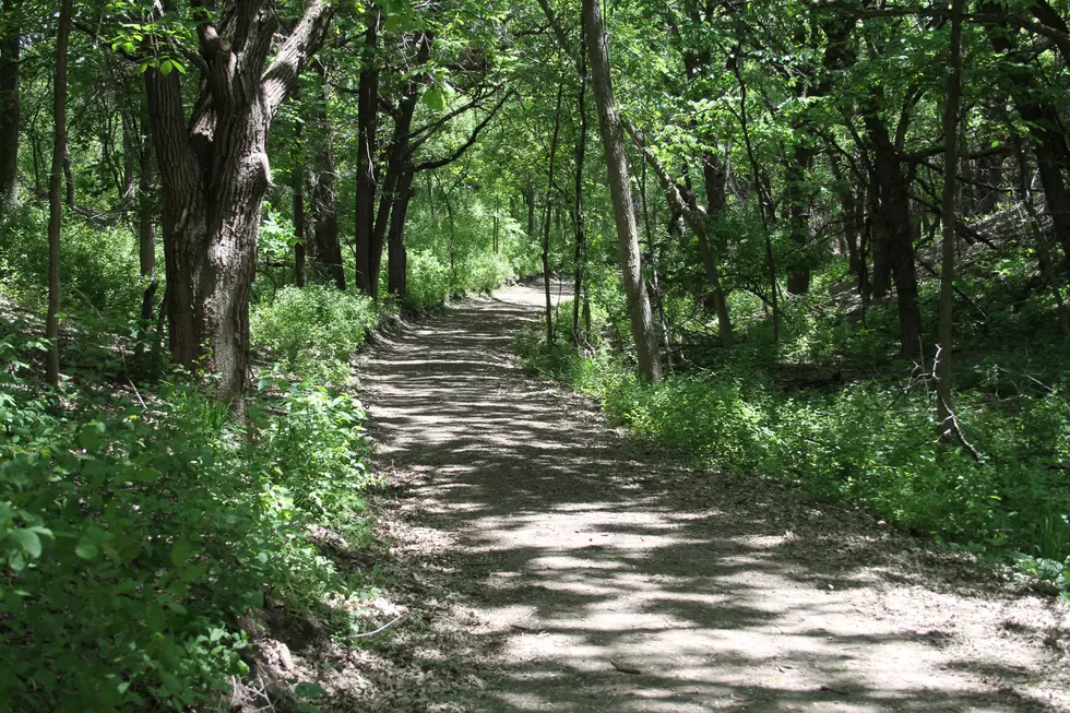 Something New has Popped up Along Owatonna Trails