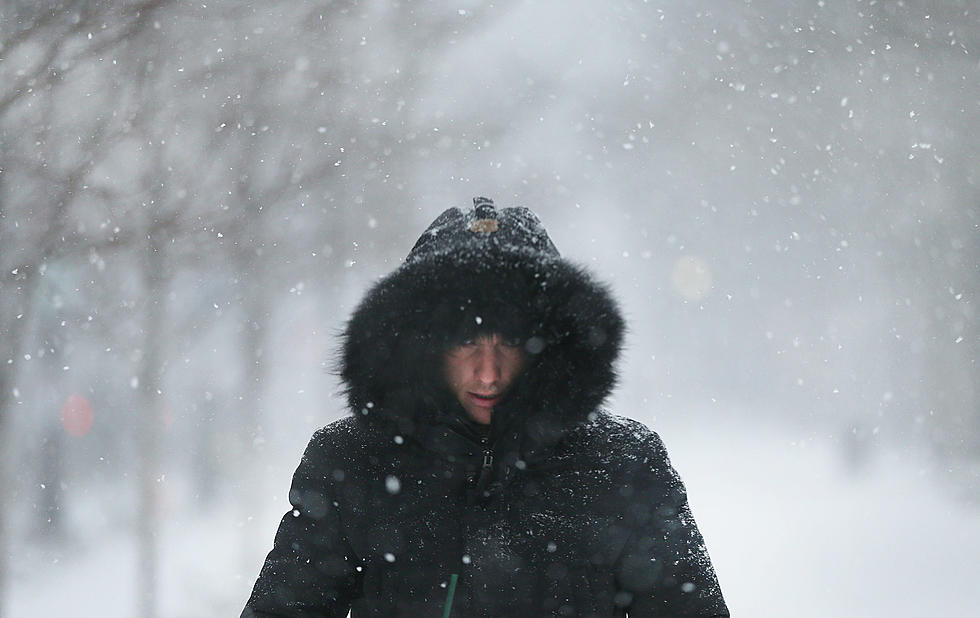 Minnesota Judge Grants Restraining Order Against Winter