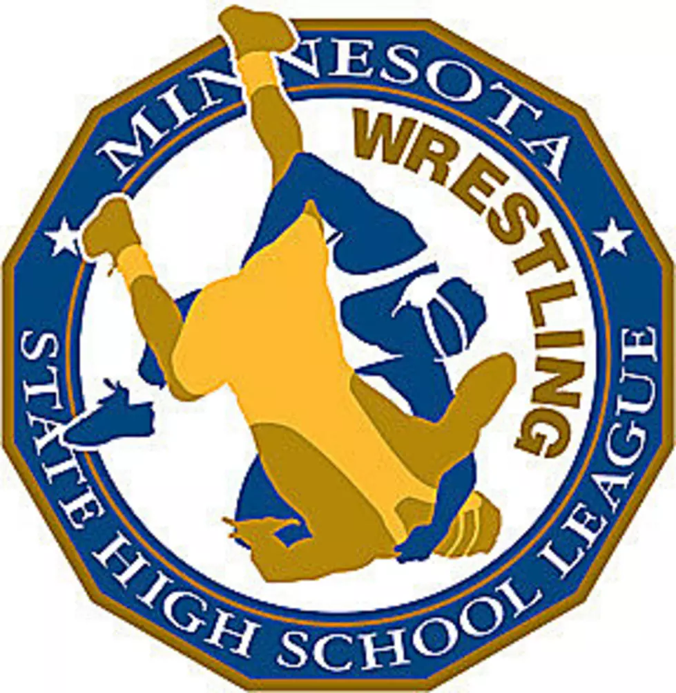 Area Wrestlers Shine At State With Several Finishing In The Top-6