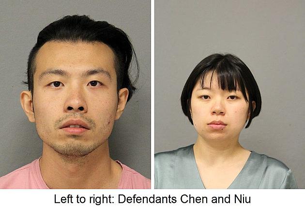 NY Pair Arrested After Scamming 84-Year-Old MN Woman