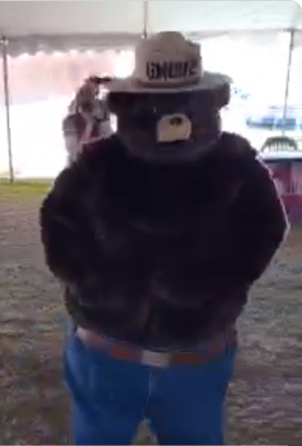 WATCH: Child Instantly Starts Crying At The Sight Of 75-Year-Old Bear