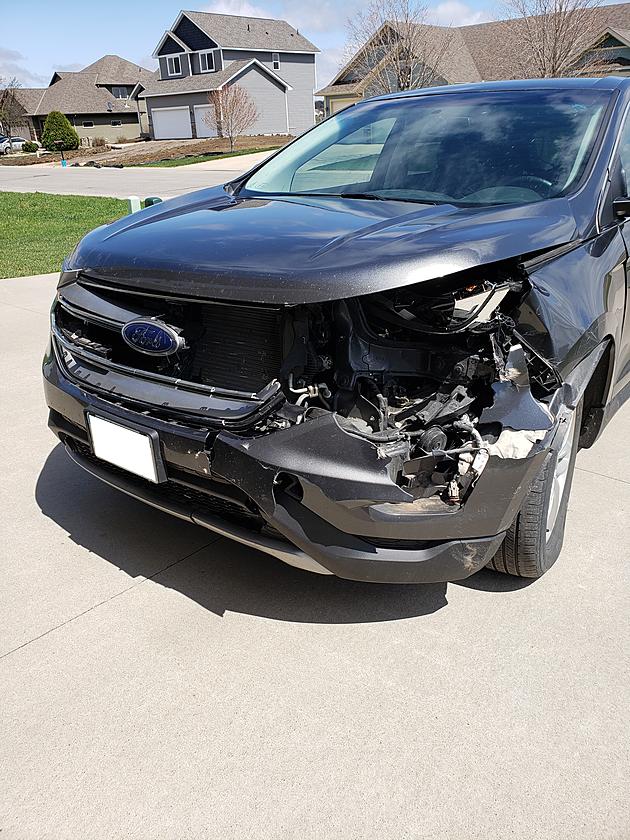 The Buck Stopped Here&#8230;How Much A Car Deer Collision Can Cost