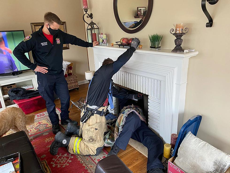 Southern Minnesota Fire Department Rescues Duck From Chimney
