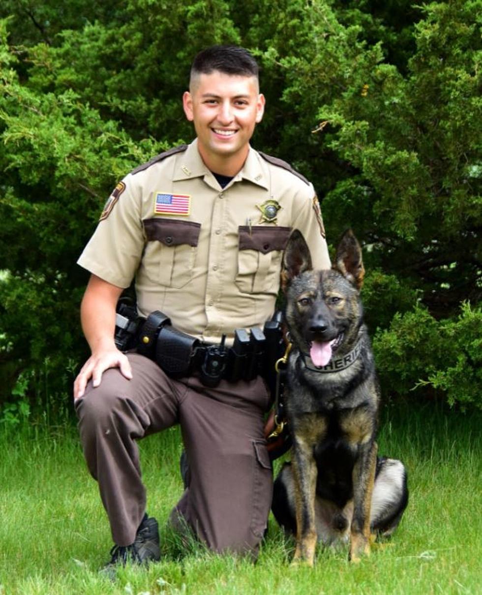 Rice County Sheriff’s Office Adds New K-9 Officer To Staff
