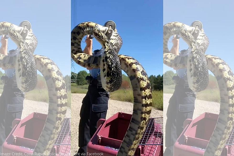 Coon Rapids Police Called After Homeowner Discovers Huge Snake