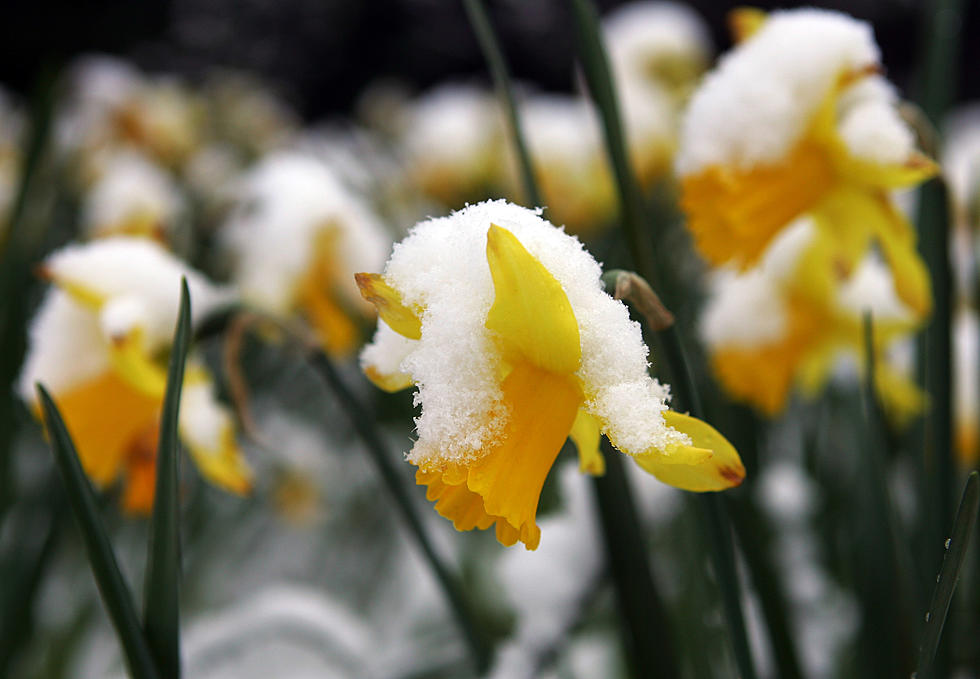 A Powerful Storm Predicted To Have Multiple Hazards To Hit Minnesota This Week