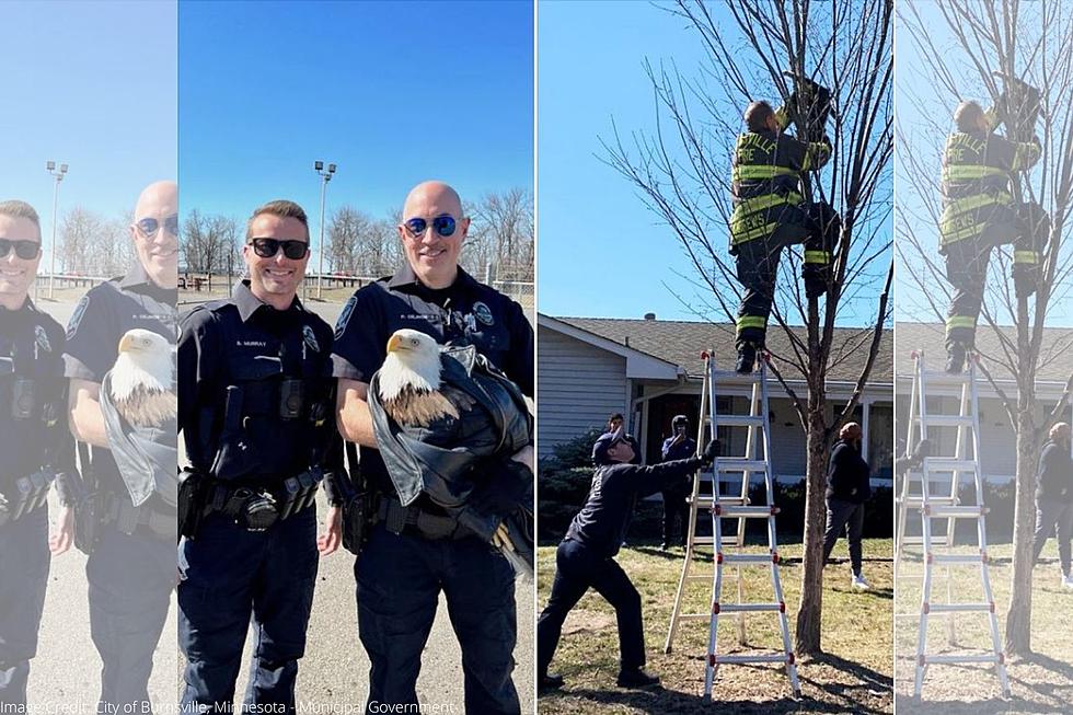 Minnesota City’s Public Safety Department Rescues Eagle