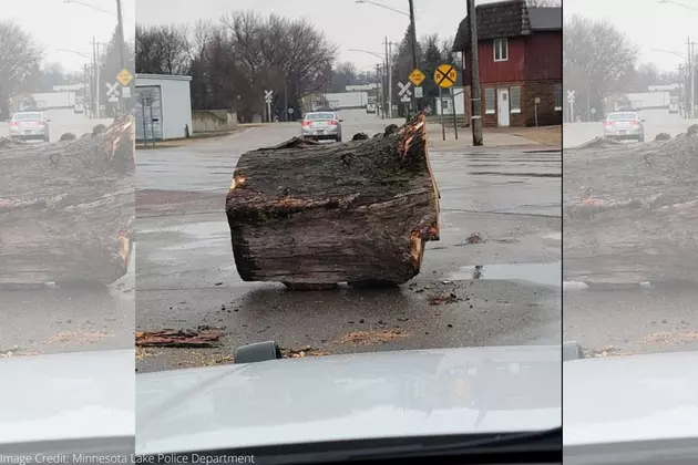 Southern Minnesota Police Department Reunites Lost &#8216;Log&#8217; With Its Owner