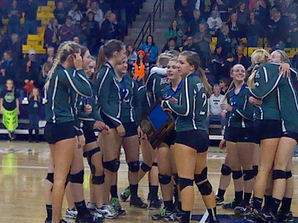 WEM volleyball at state