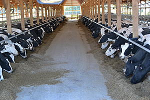 Midwest Dairy Local Producer Meeting Monday