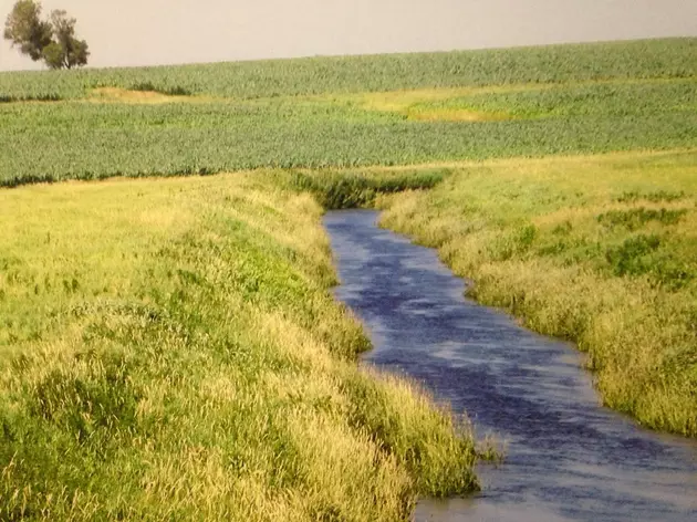 Rice County Soil and Water Conservation Tour