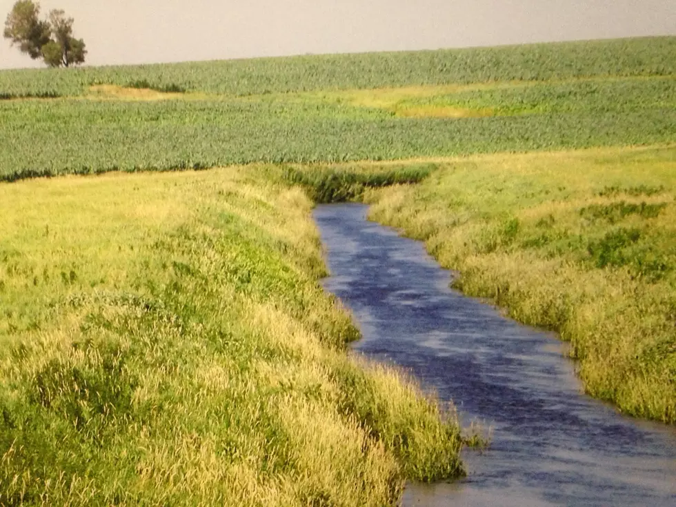 Rice County SWCD Tour