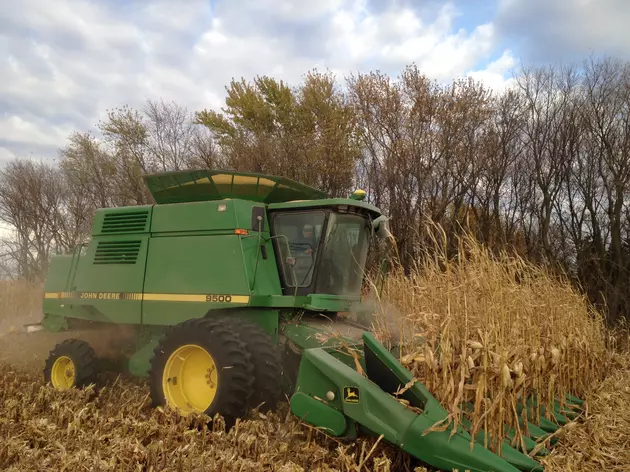 Market Report: Corn and Beans Sharply Higher Friday