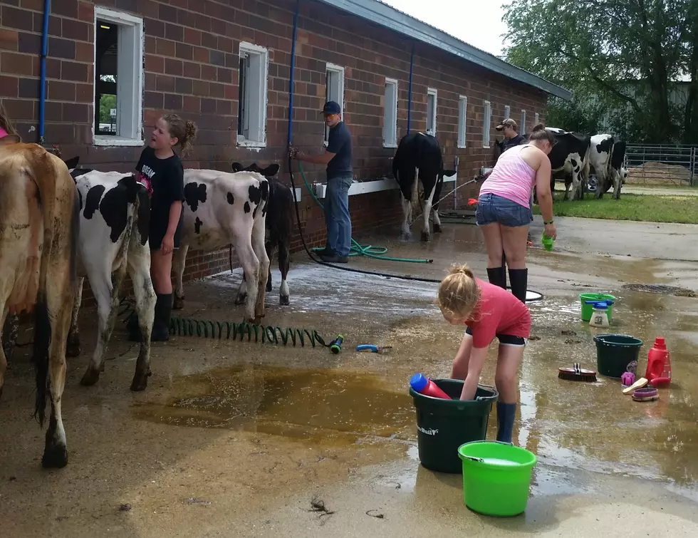 Successful Rice County 4-H Livestock Auction