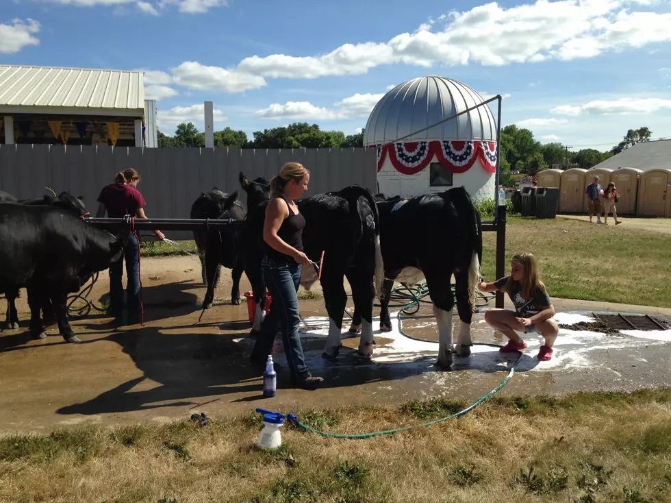 4-H Members Working at the Cannon Valley Fair