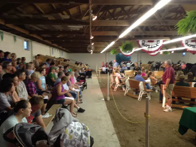 Annual Rice County 4-H Livestock Auction a Big Success