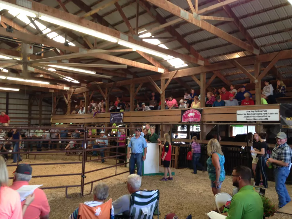 Goodhue County 4-H Livestock Auction