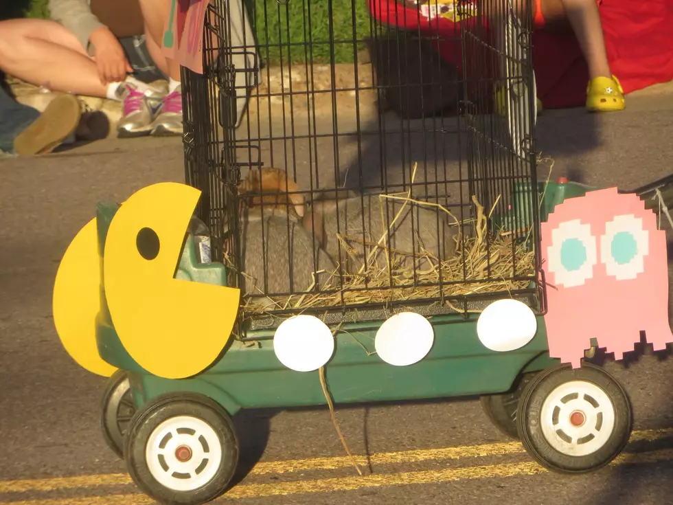 Faribault Pet Parade Not Just for Kids