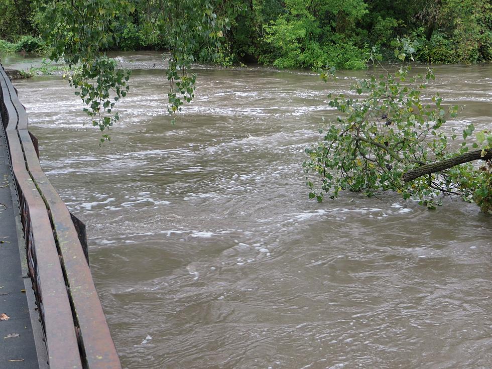 Floodwaters Deluge Rice, Steele Counties [PHOTOS, VIDEO]