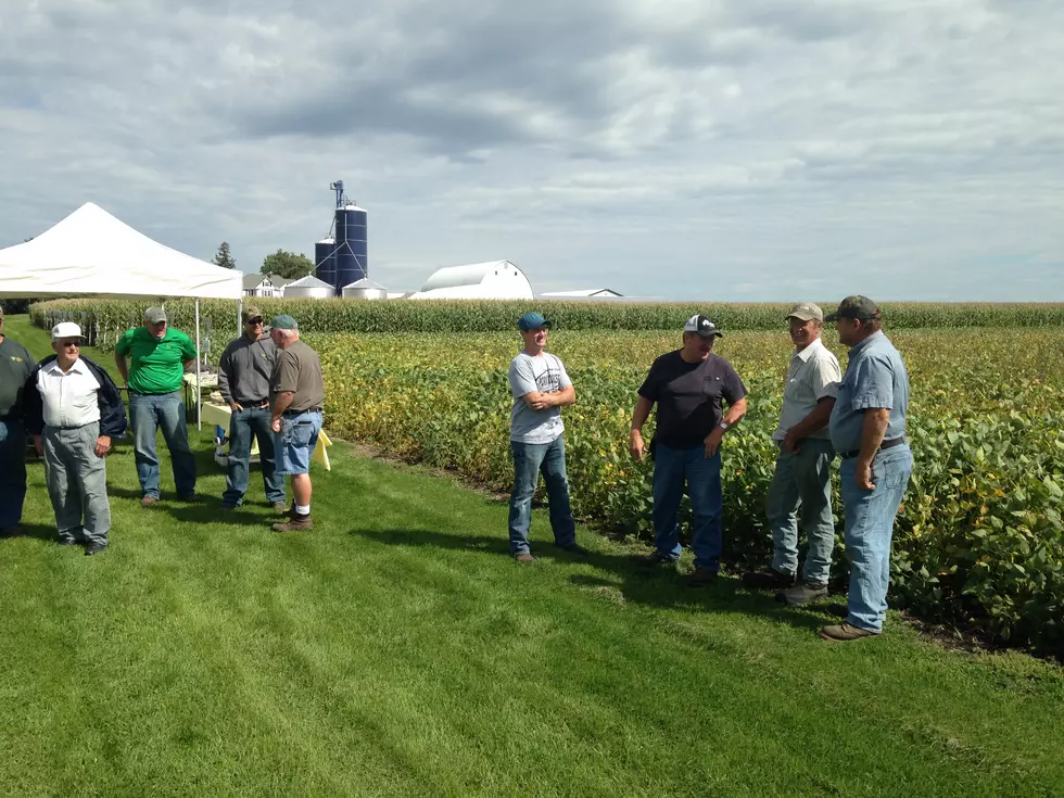 It’s Time for Plot Days in Southern Minnesota