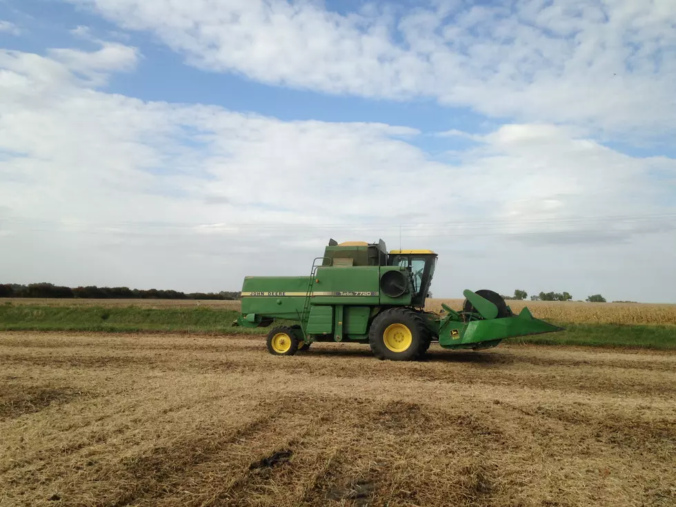 Market Report: Corn and Beans Firmer Friday