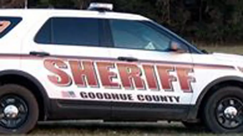 Goodhue County K-9 Hurt On Duty