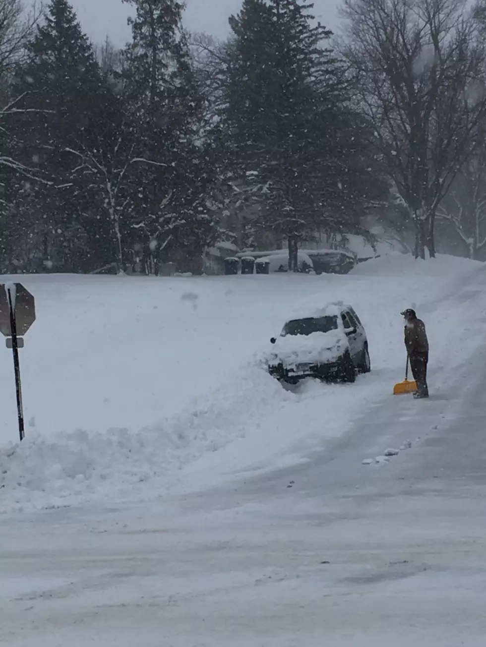 Snowy Scenes from Faribault on Friday