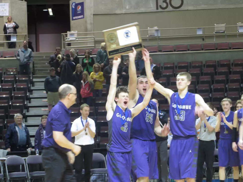 2OT Later, Goodhue Goes to State