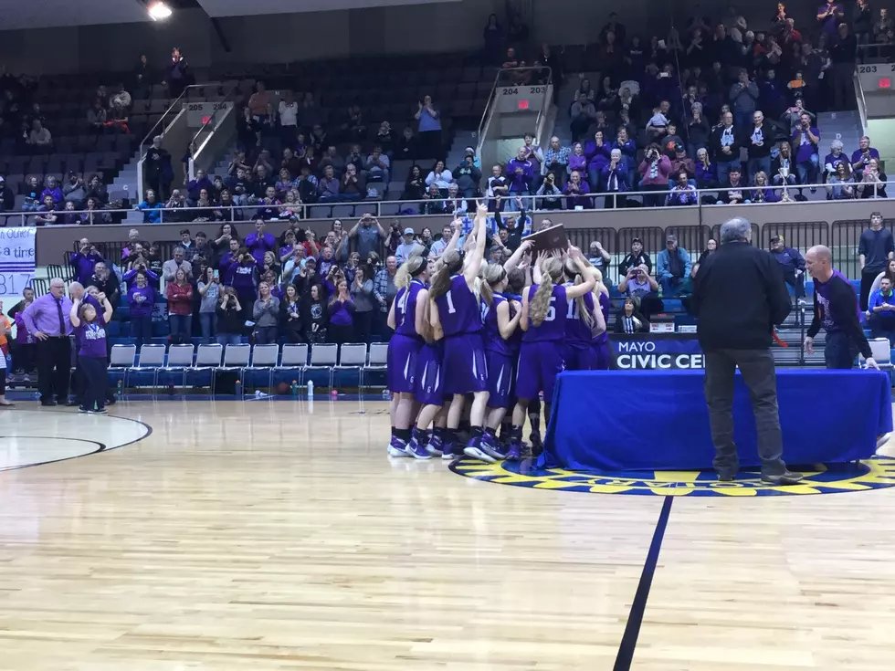 Goodhue Girls Advance to Section Title Game