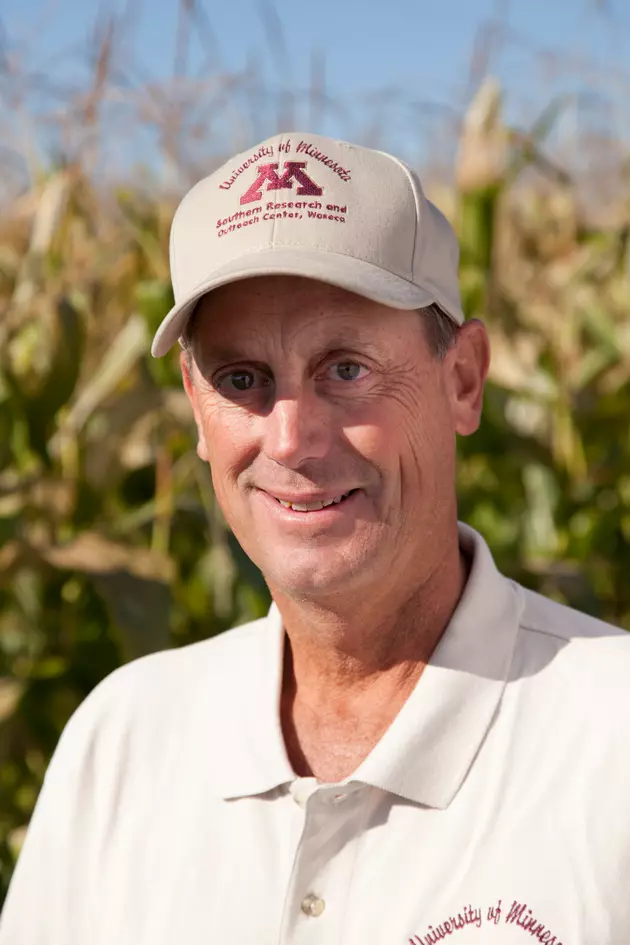 Tom Hoverstad Talks Planting Dates, Crop Yields on AM Minnesota