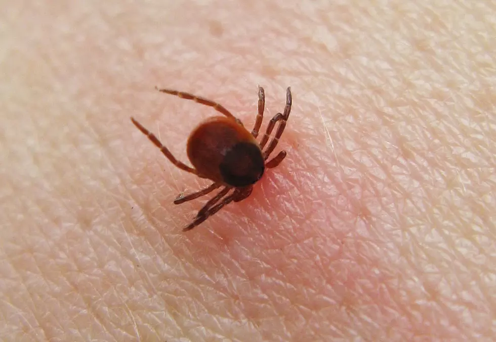 CDC Warns of New Tick-Borne Virus Worse than Lyme Disease